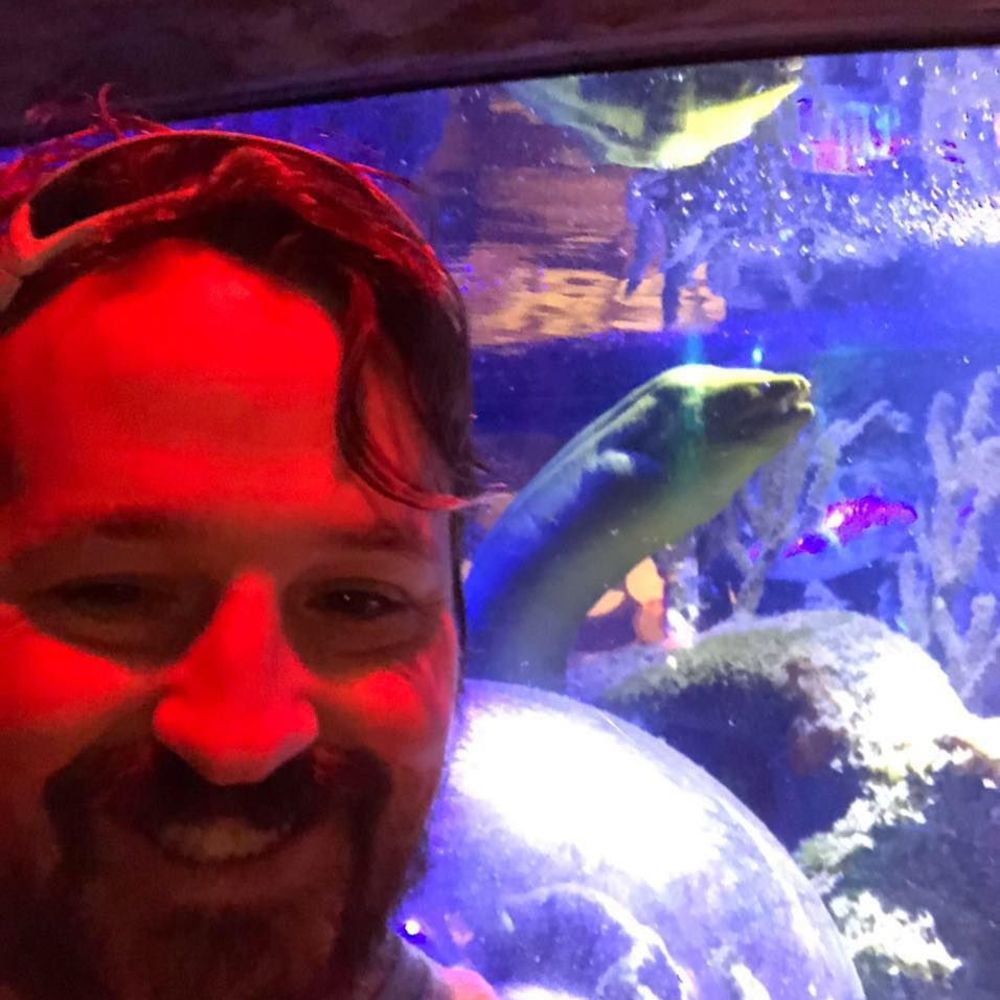 Meet your Posher, Benjamin